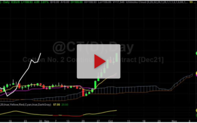 Warning Warning FOMO ALERT