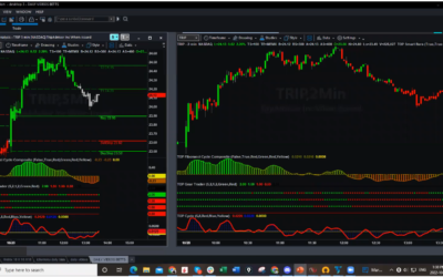 TRIP BETTS Long and Profits