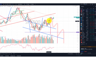 Some early bullish signs – but not out of the woods yet!