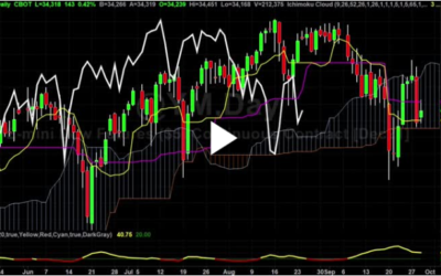 What is a Dead Cat Bounce