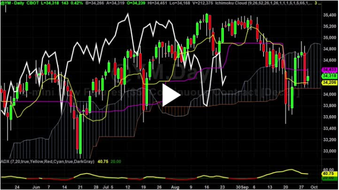 What is a Dead Cat Bounce