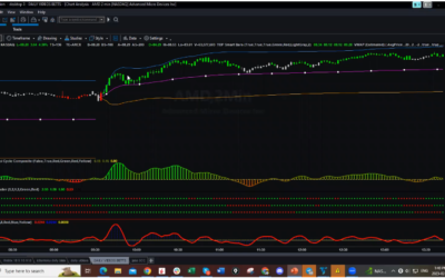 AMD Could You Have Caught This Trade?