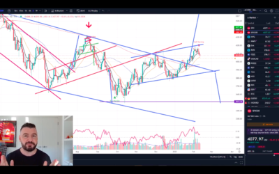 Why I Went to Cash This Week Copy