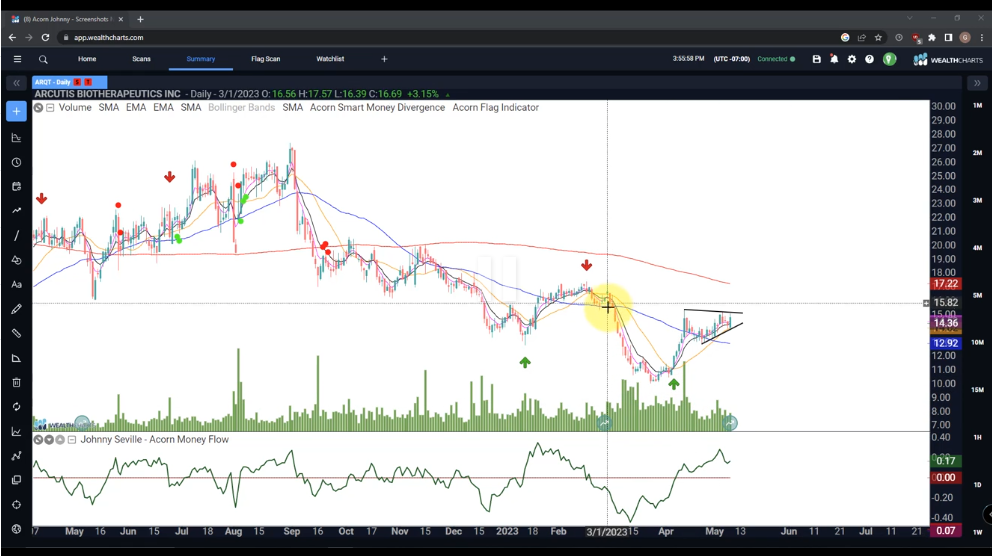 ARQT Pennant Pattern