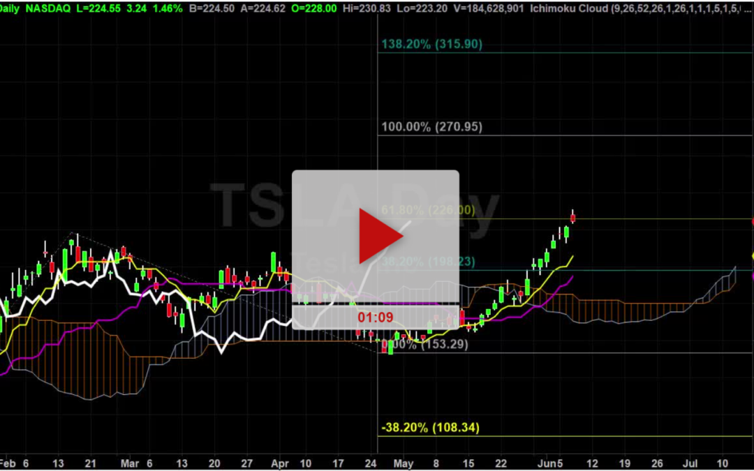 TSLA Stock Price Update