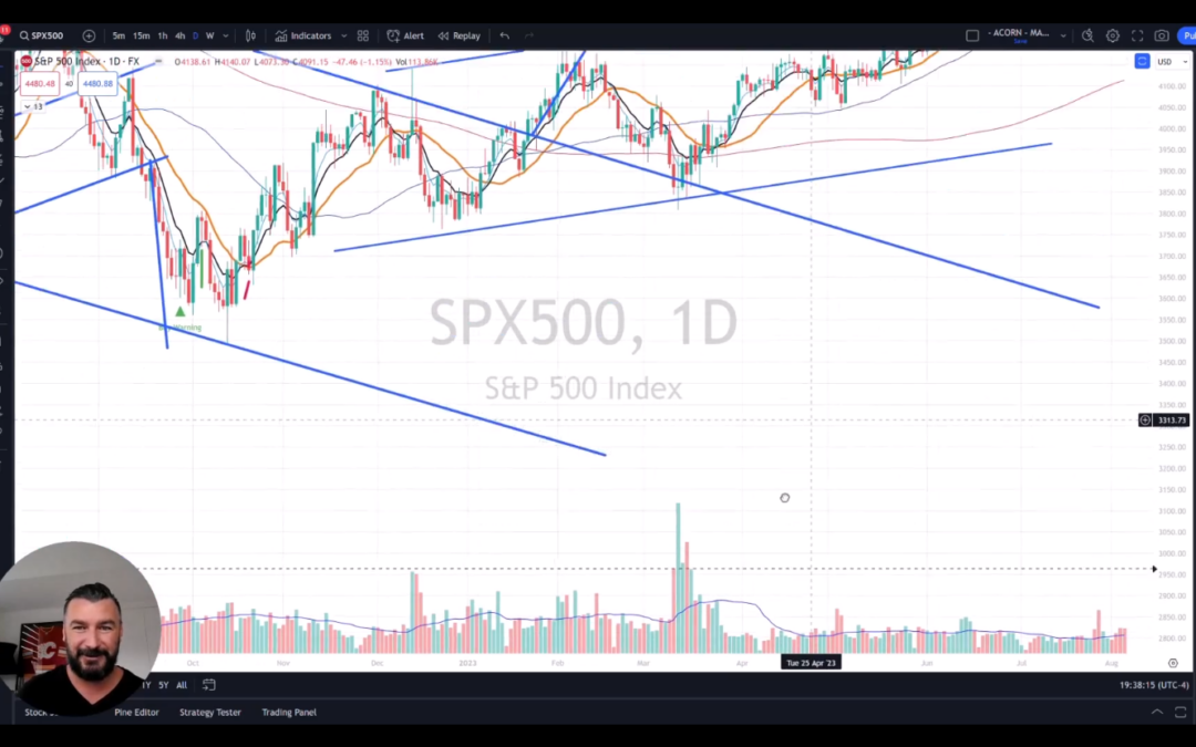 Market Meltdown (2020 pattern emerges)