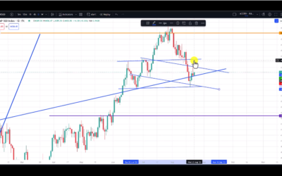 Dead Cat Bounce or More