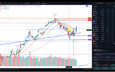 Material Shift in the Market Pattern