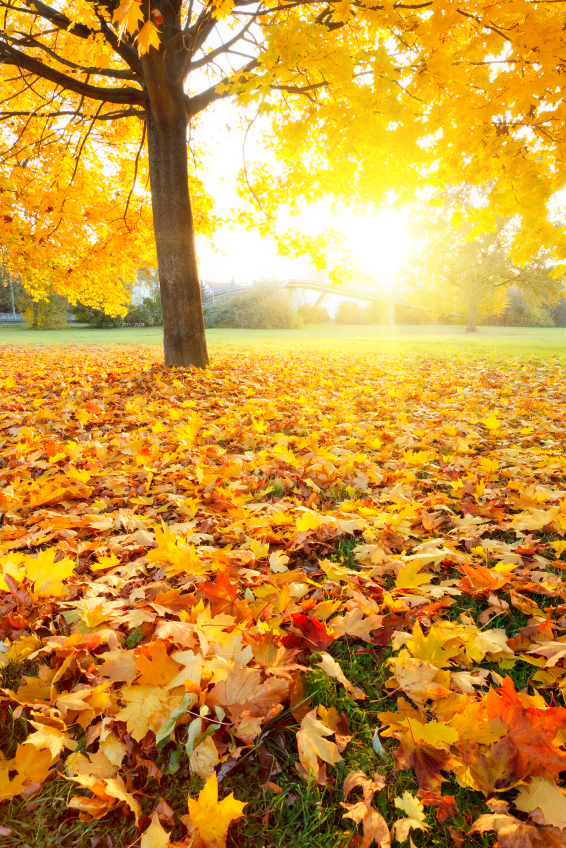 How to trade the volatile autumn months